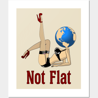 Earth Is Not Flat Posters and Art